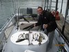 (05/30/2015) - Nice Striped Bass
